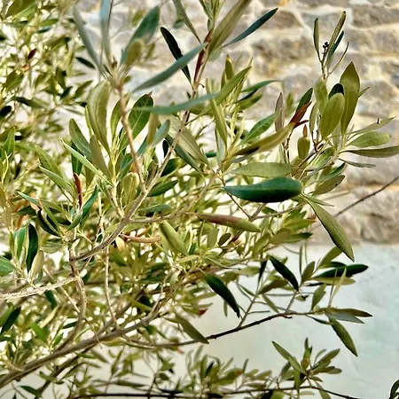 Casa vacanze Aetheria Traditional House