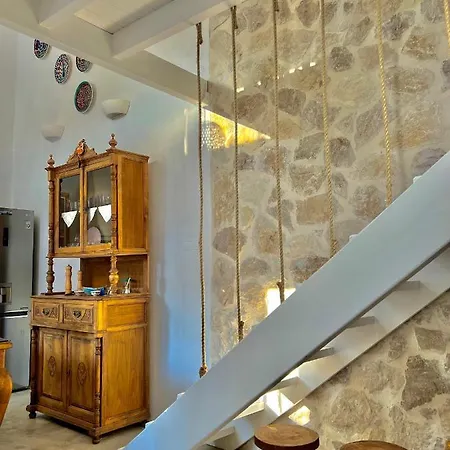 Aetheria Traditional House