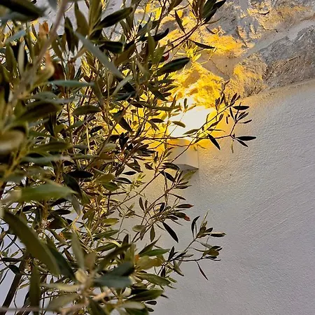 Aetheria Traditional House Holiday home *