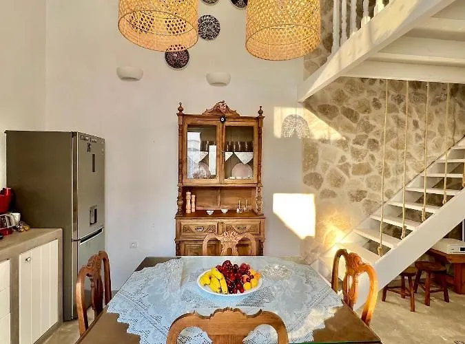 Aetheria Traditional House Дом отдыха Коскину